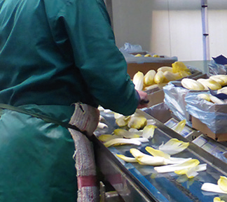 épluchage conditionnement