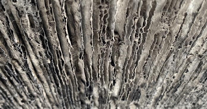 Horizontal air cooled condenser pre clean