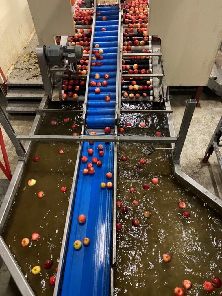 solstice l40x - production fruits